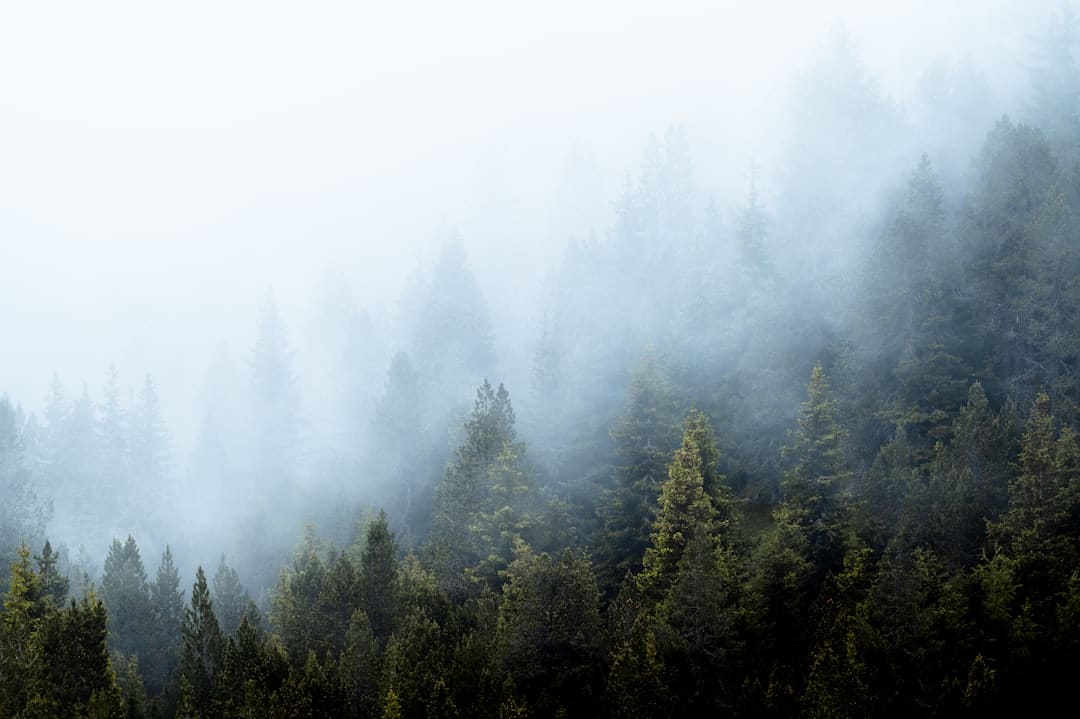 亚运膏壤开出奥运之花 丨 又一严重世界赛事落户宁波象山